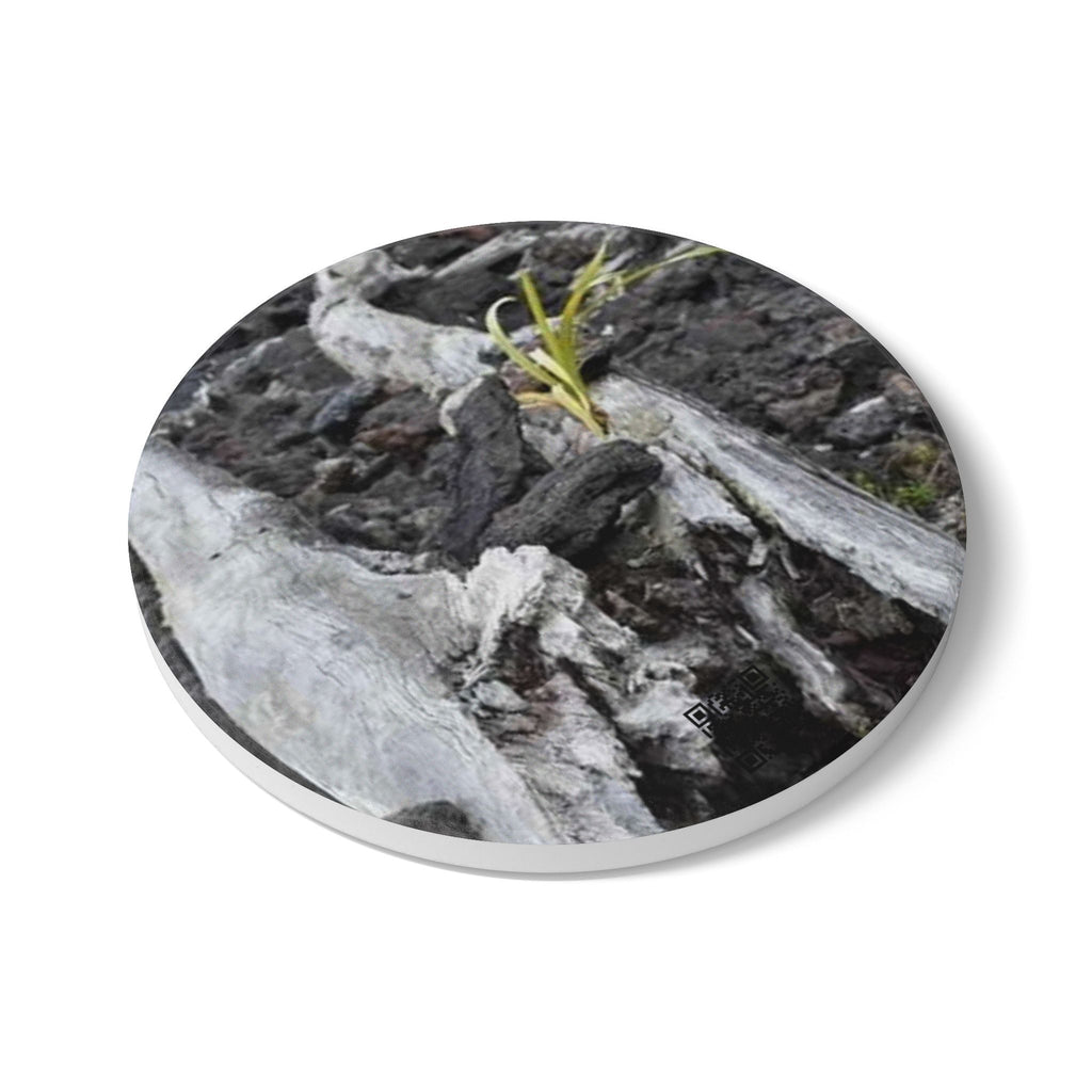Driftwood Nature Ceramic Coaster — Rustic Woodland Drink Coaster