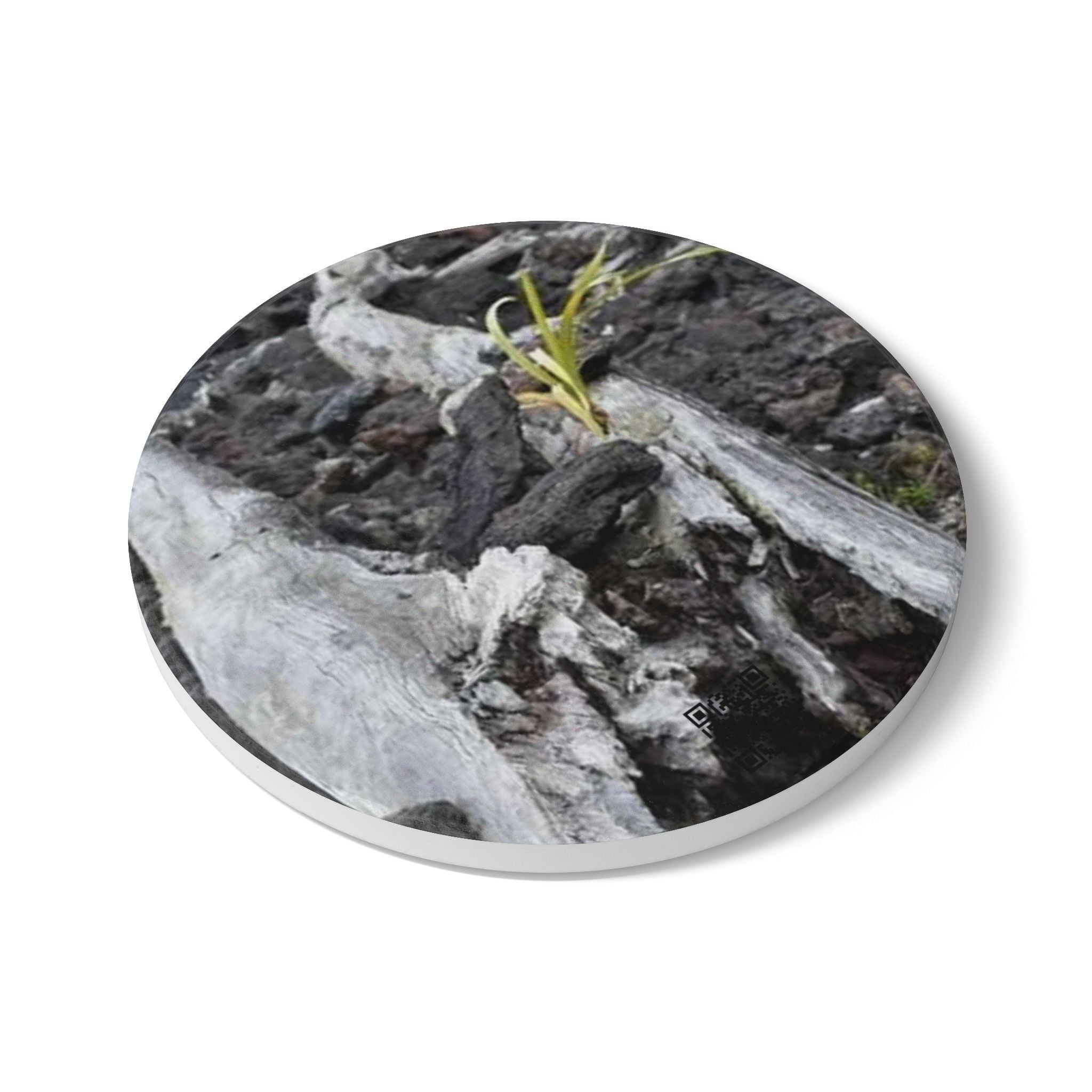 Driftwood Nature Ceramic Coaster — Rustic Woodland Drink Coaster