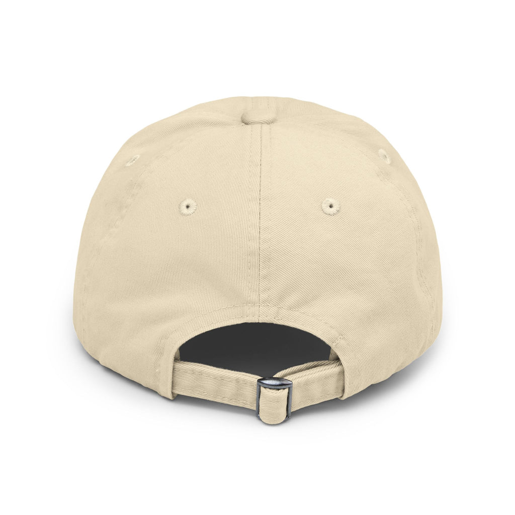 Pinecone Pictures Distressed Cap — Vintage Camera Logo Baseball Hat