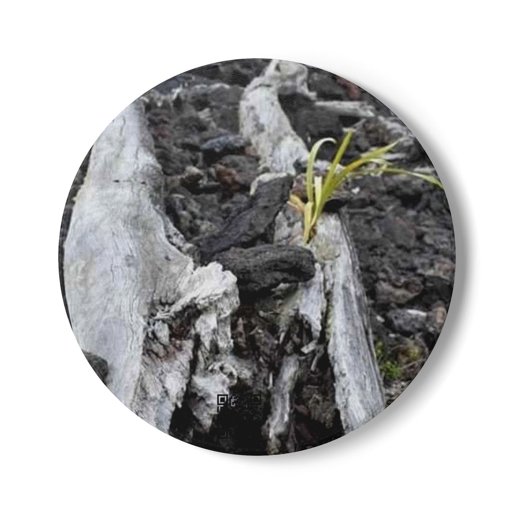 Driftwood Nature Ceramic Coaster — Rustic Woodland Drink Coaster