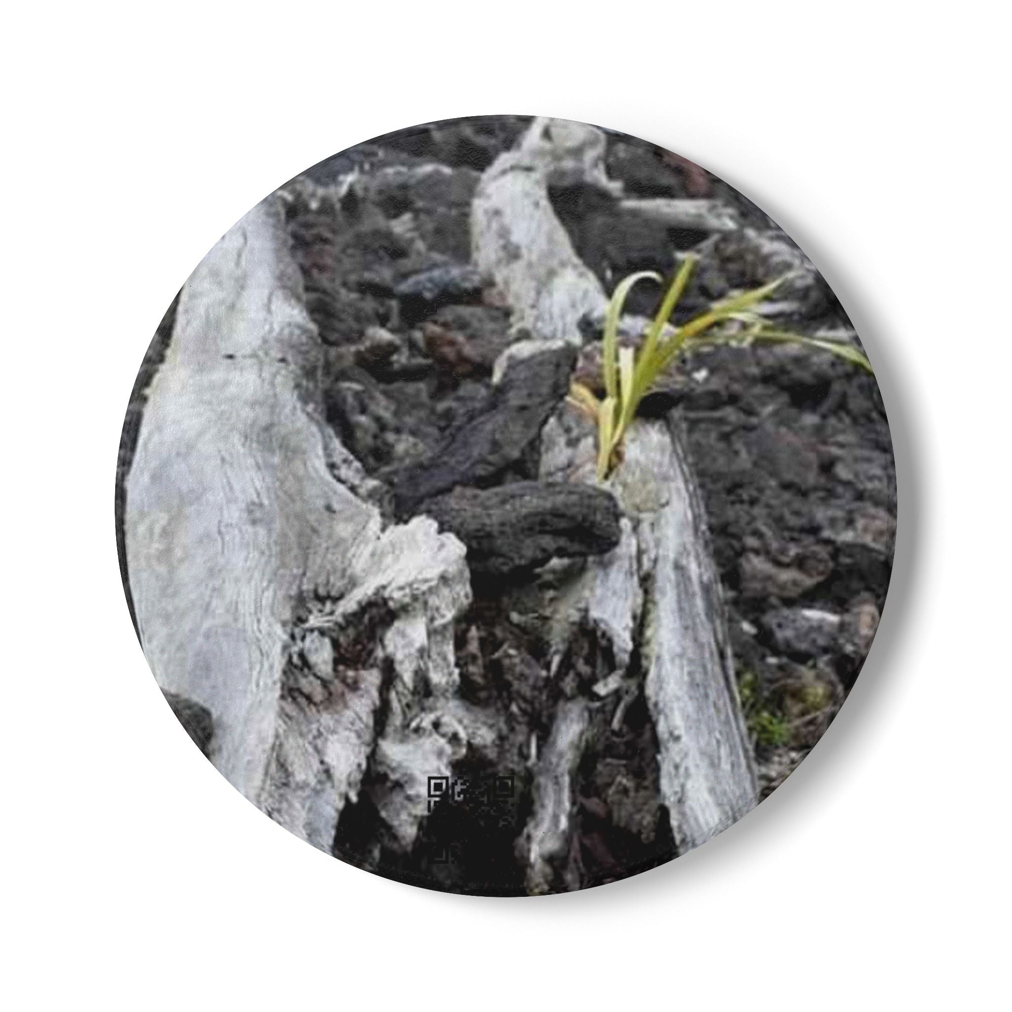 Driftwood Nature Ceramic Coaster — Rustic Woodland Drink Coaster