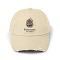 Pinecone Pictures Distressed Cap — Vintage Camera Logo Baseball Hat