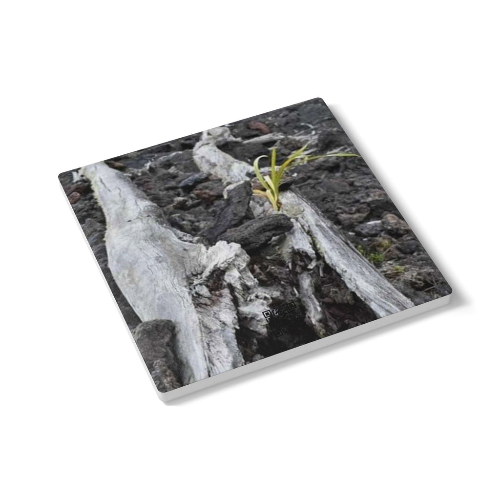 Driftwood Nature Ceramic Coaster — Rustic Woodland Drink Coaster