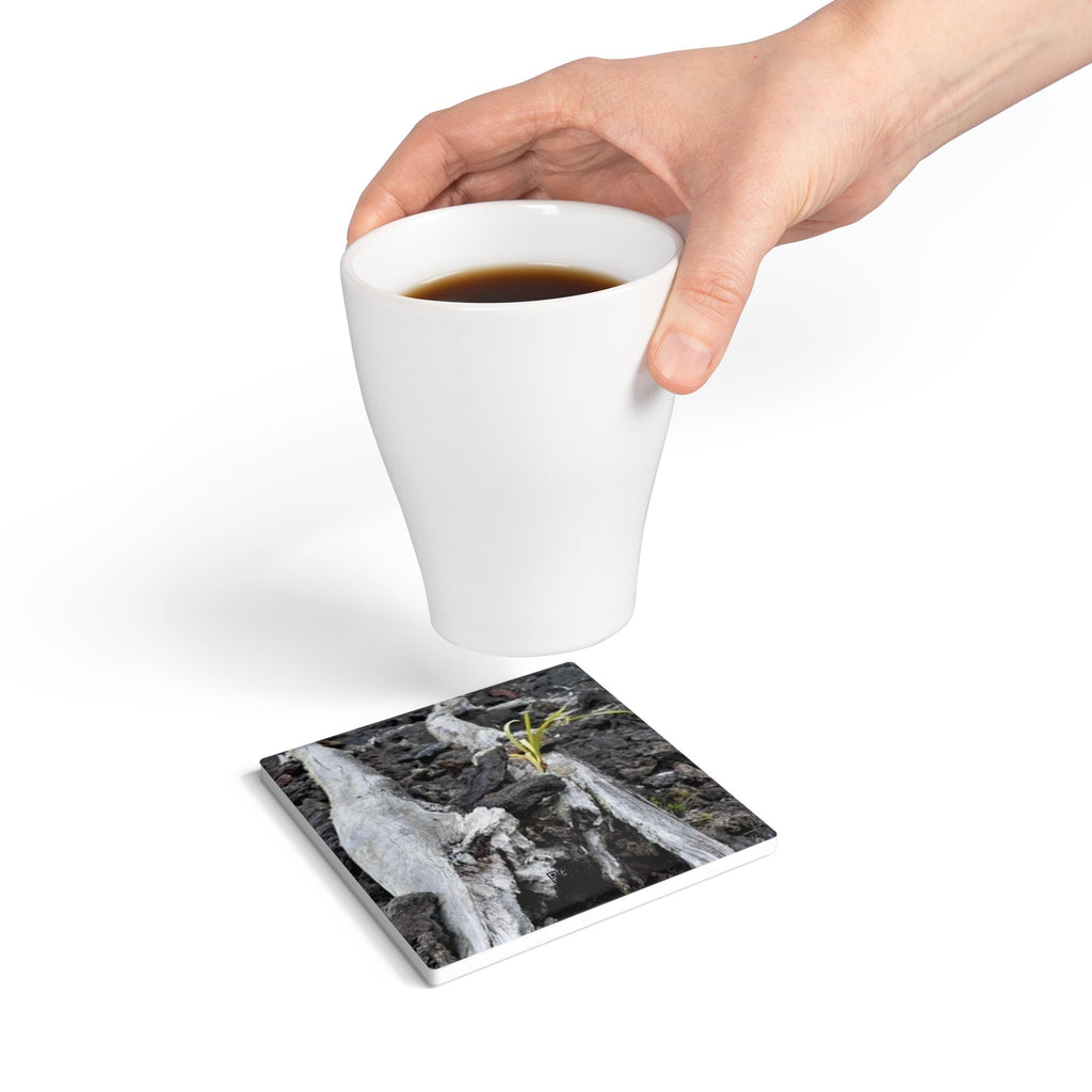 Driftwood Nature Ceramic Coaster — Rustic Woodland Drink Coaster